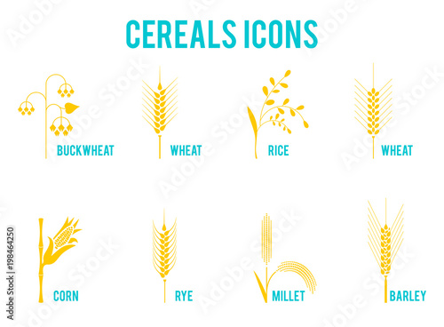 Cereals icons of grain plants.