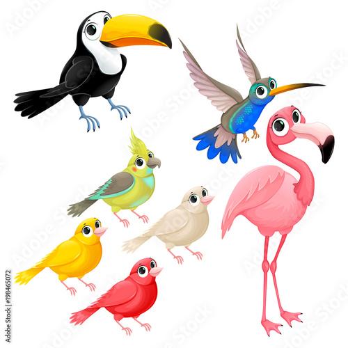 Group of funny tropical birds