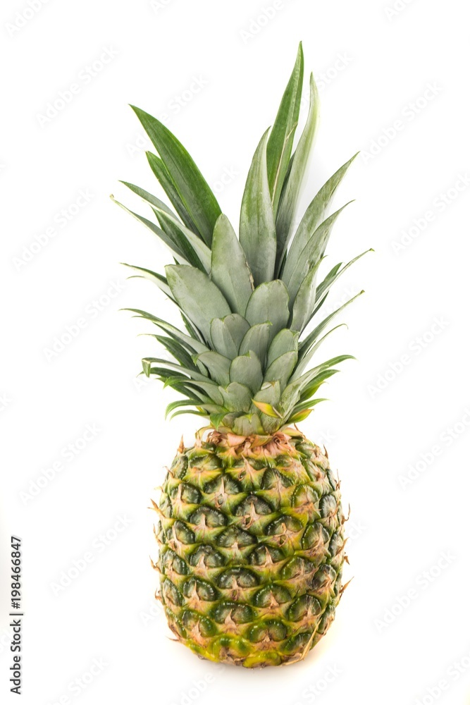 Fresh whole pineapple Fresh whole pineapple