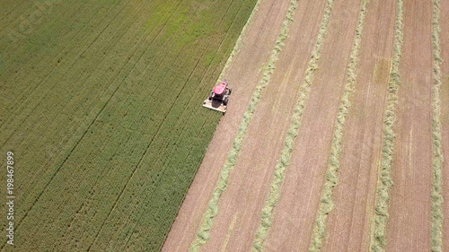 Aerial image of a Red Combine harvester harvest a green wheat field