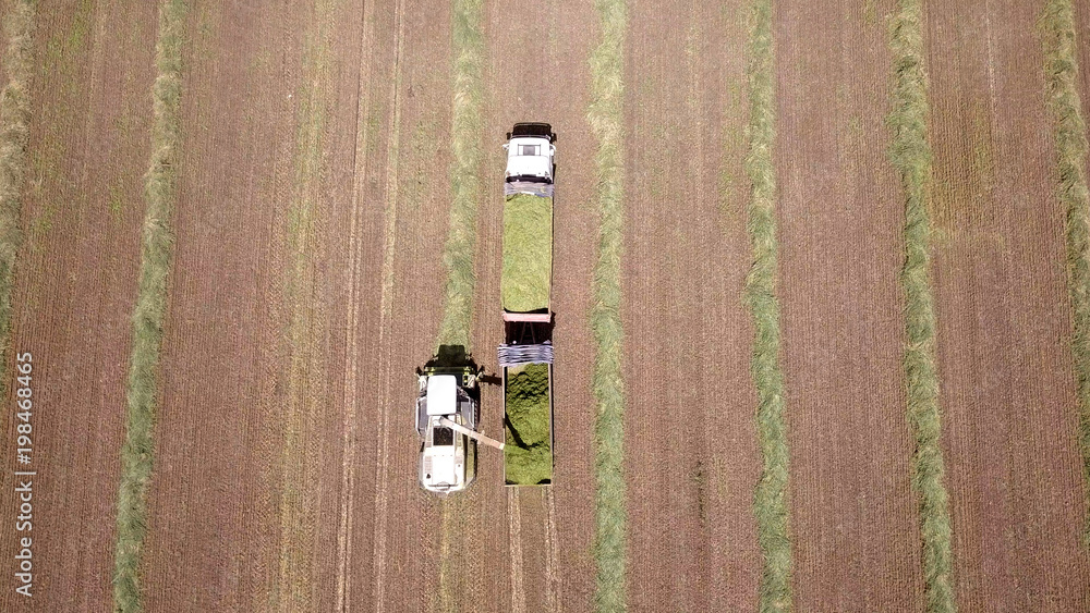 Combine harvesting a green field and unloads wheat for Silage onto a double trailer truck. Combine harvesting a green field and unloads wheat for Silage onto a double trailer truck.