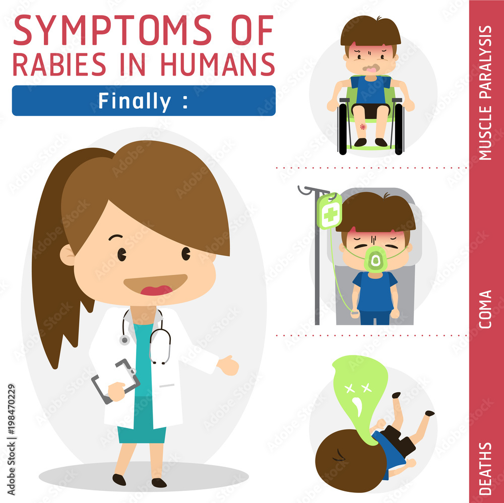 Symptoms of Rabies in Humans Set 3 Stock Vector Adobe Stock
