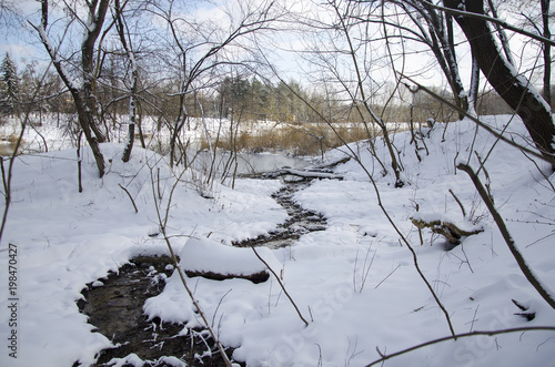 Snowy park