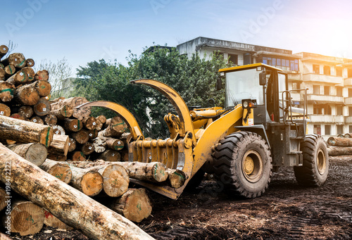 Forklift truck grabs wood in a wood processing plant