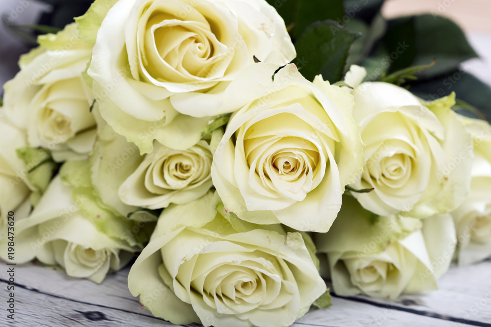 Bright yellow roses background Bright yellow roses background