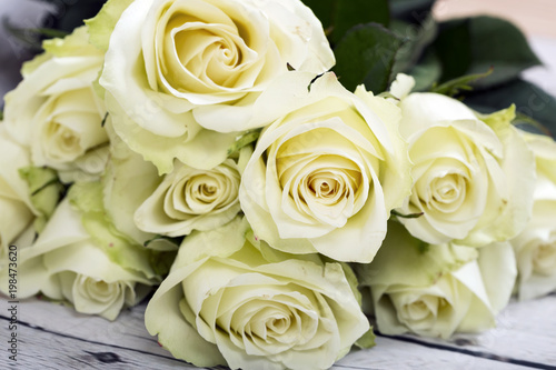Bright yellow roses background