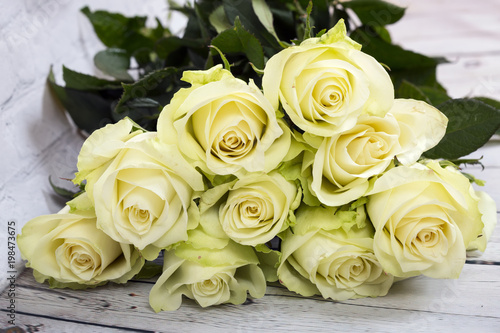 Bright yellow roses background