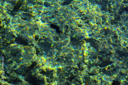 Multicolored beautiful red sea fish over the thickness of the water on a blurred background of coral reefs and yellow sand. Sharm el-Sheikh, Egypt, screensaver, wallpaper © serg11111