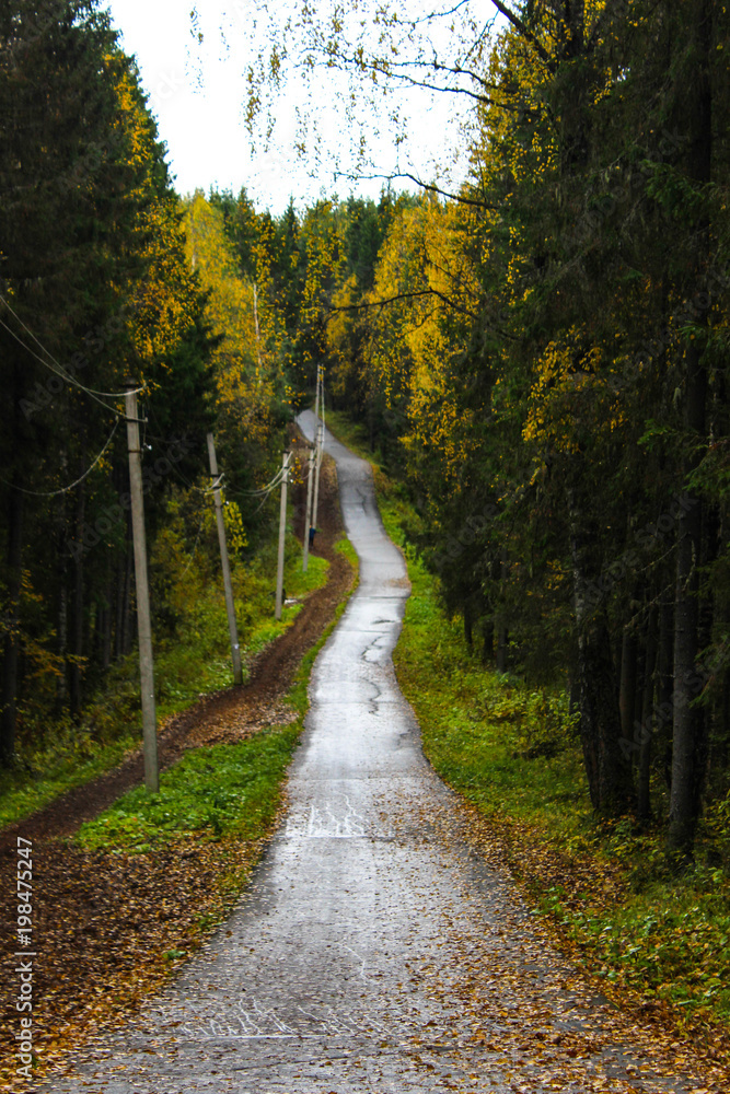 Obraz premium road to autumn