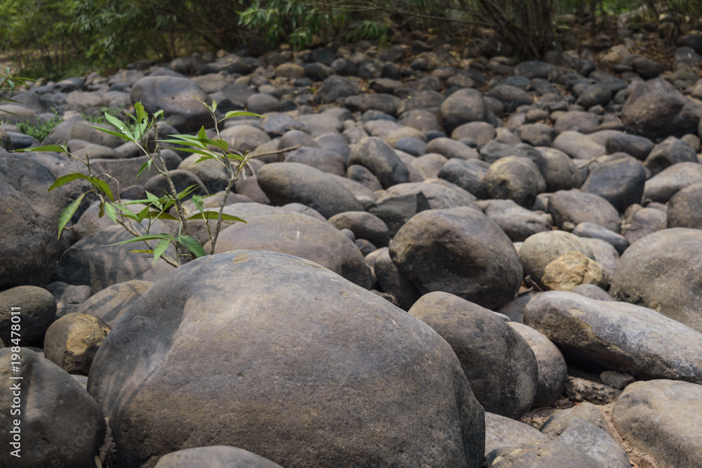 Summer with no water stone texture Summer with no water stone texture