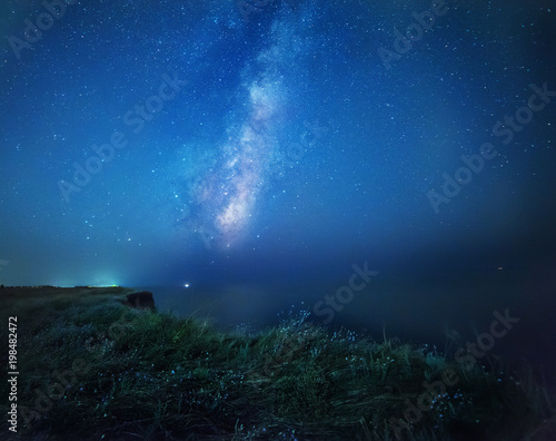 Night photo. The Milky Way and flowers are glowing under the light of the moon on the edge of the sea. Mysterious mysterious photo on the shore of the night sea. 