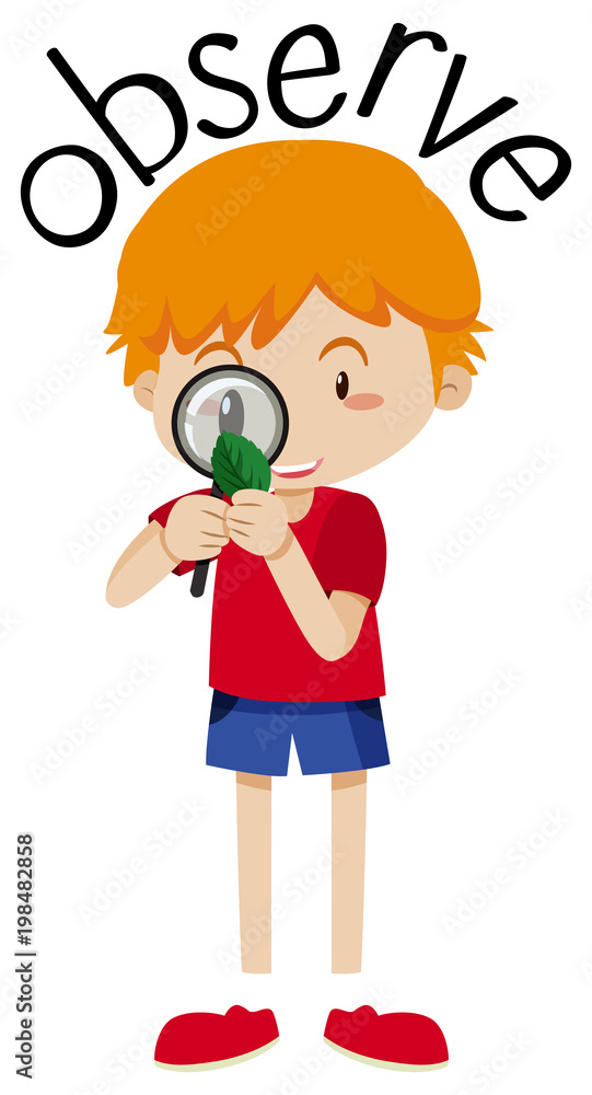 Wordcard for obserbe with boy looking at leaf Wordcard for obserbe with boy looking at leaf