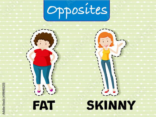 Opposite words for fat and skinny