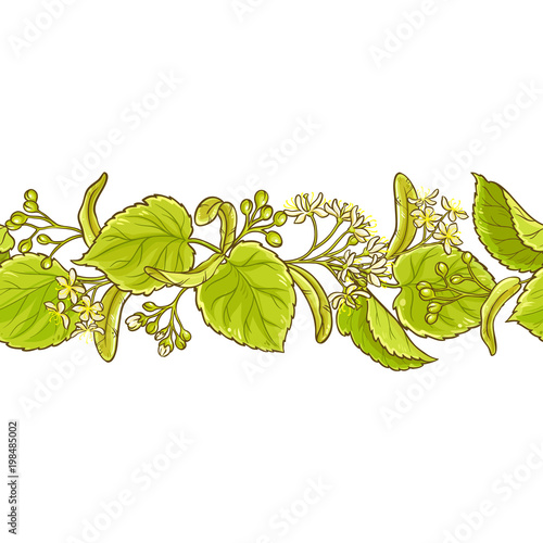 linden vector pattern