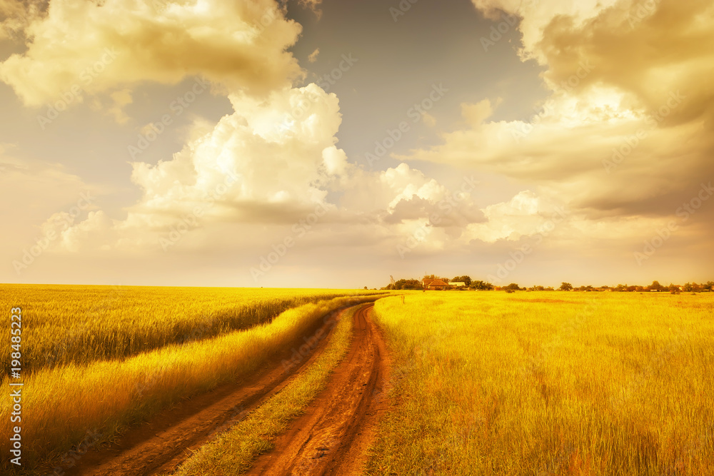 The dirt road runs off into the distance on the green juicy field. Soft focus, sunny light photo of the landscape. Rural landscape.
The dirt road runs off into the distance on the green juicy field. Soft focus, sunny light photo of the landscape. Rural landscape.