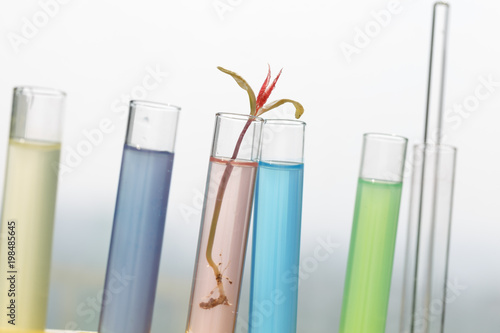 Biochemistry experiment scene