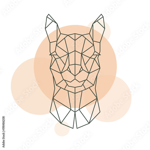 Geometric head of Alpaca. Wild animal. Vector illustration.