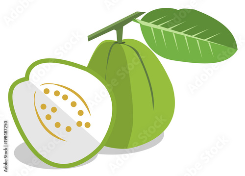 green guava on white background