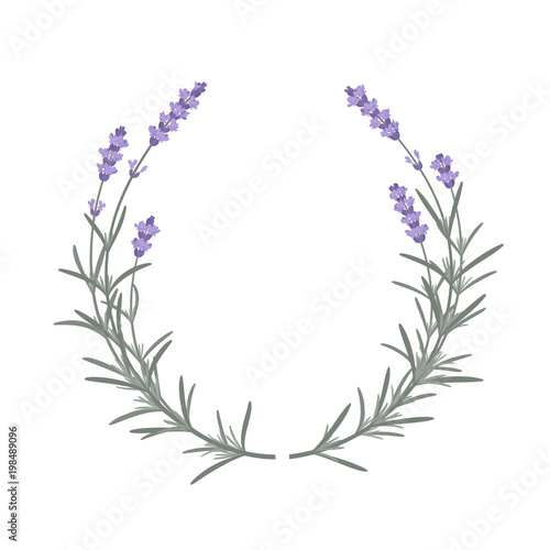 Vector floral frame of lavender branches isolated on white