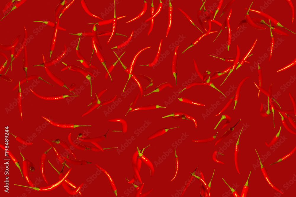 Set of red hot peppers on red background