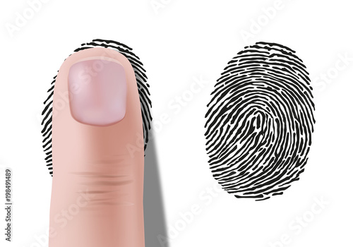 empreinte digitale - Empreinte - identité - empreinte de doigt - crime - identification 