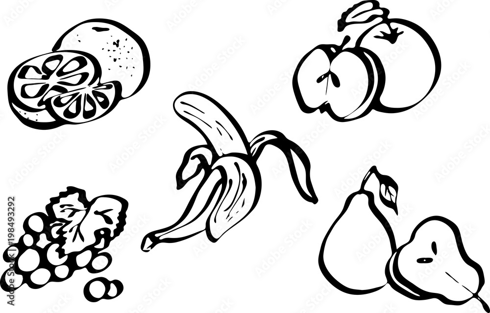 Fruit set. Vector illustrations isolated Fruit set. Vector illustrations isolated