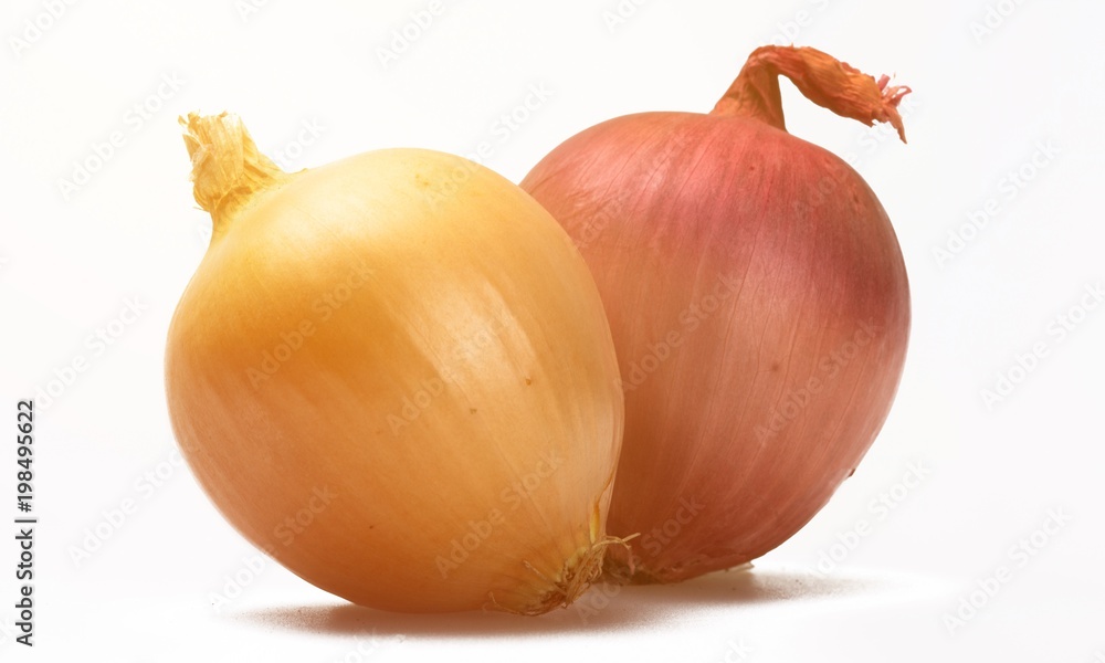 Fototapeta premium Onion.