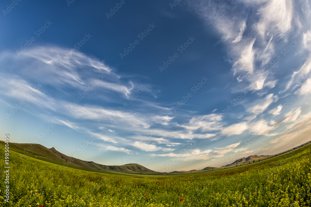 Beautiful sunset sky with white clouds over a green summer field with poppies, Dobrogea, Romania