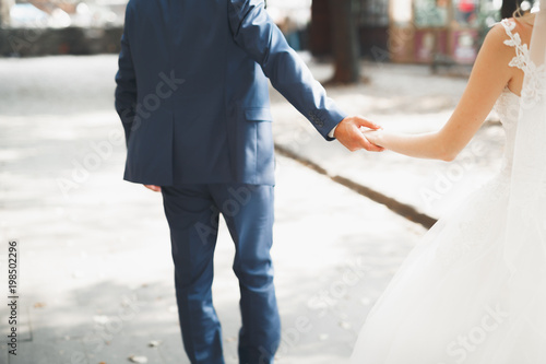 Wedding couple bride and groom holding hands © olegparylyak