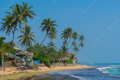 Fototapeta Naklejka Na Ścianę i Meble -  Palm trees on the shore of the Indian Ocean on the beach in Hikkaduwa, Sri Lanka.