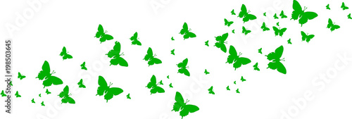 Grüne Schmetterlinge