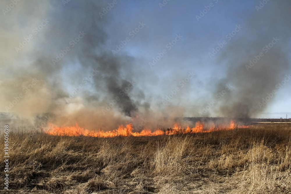dry grass fire in early spring