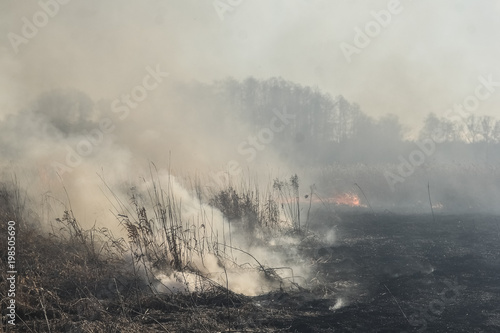 dry grass fire in early spring