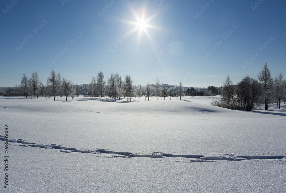 The most beautiful winter landscape scenery from Finland. Clear blue sky with sunshine and snowy scenery. Trails on the snow. The most beautiful winter landscape scenery from Finland. Clear blue sky with sunshine and snowy scenery. Trails on the snow.