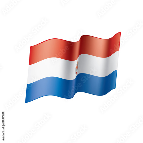 Free Download Paraguay flag, vector illustration - GFXLoad