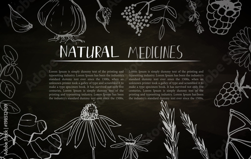 Herbs and medicinal plants collection. Vector hand drawn isolated objects on white