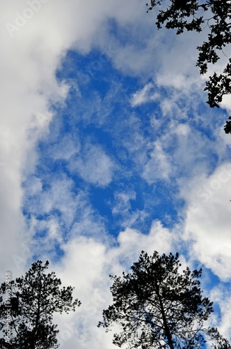 a piece of blue sky