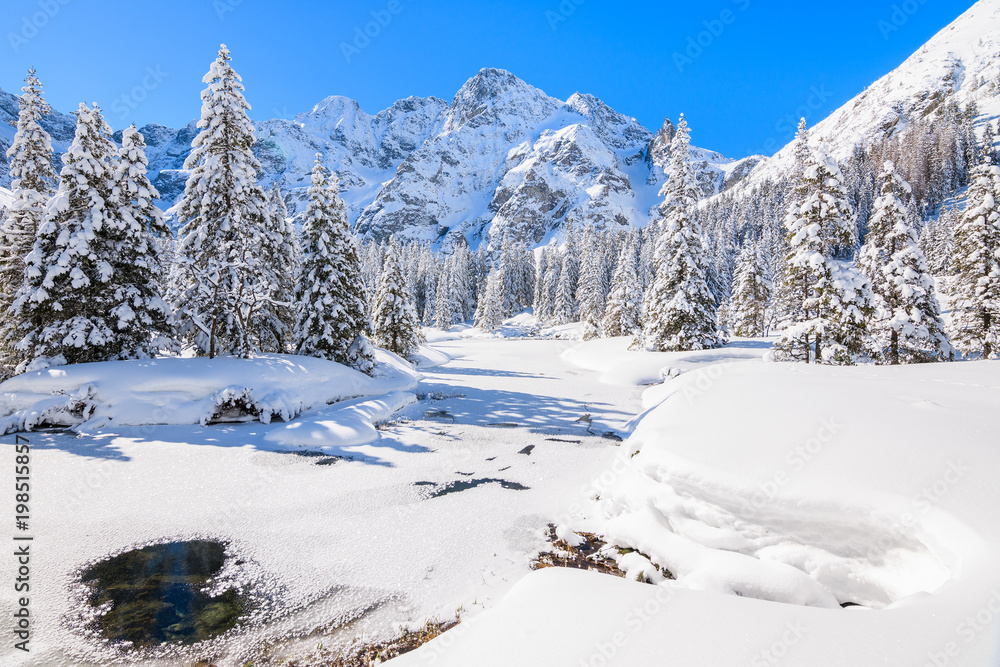 Winter landscape in valley near Morskie Oko lake, Tatra Mountains, Poland