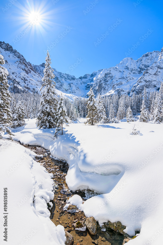 Obraz premium Winter landscape in valley near Morskie Oko lake, Tatra Mountains, Poland
