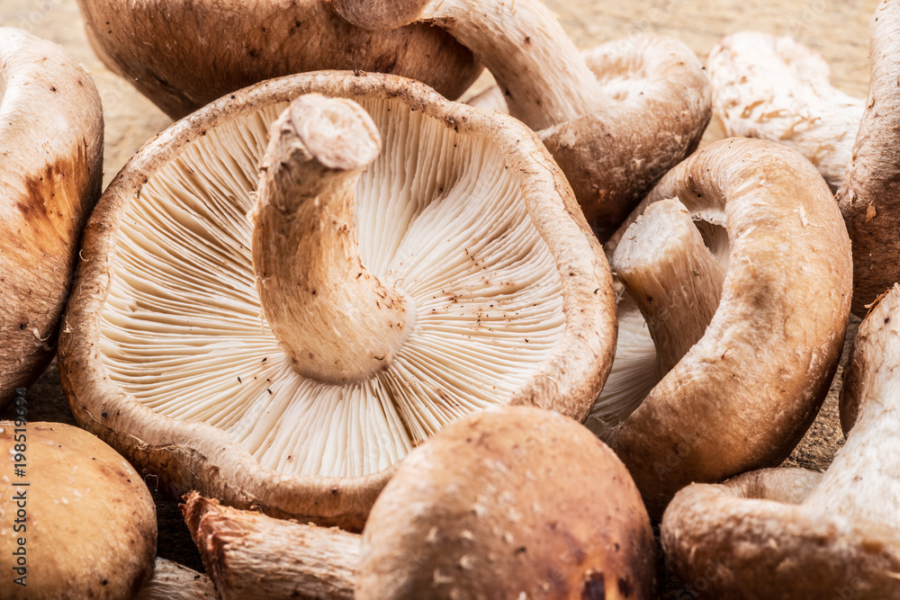 Shiitake mushrooms. Macro. Food background. Shiitake mushrooms. Macro. Food background.