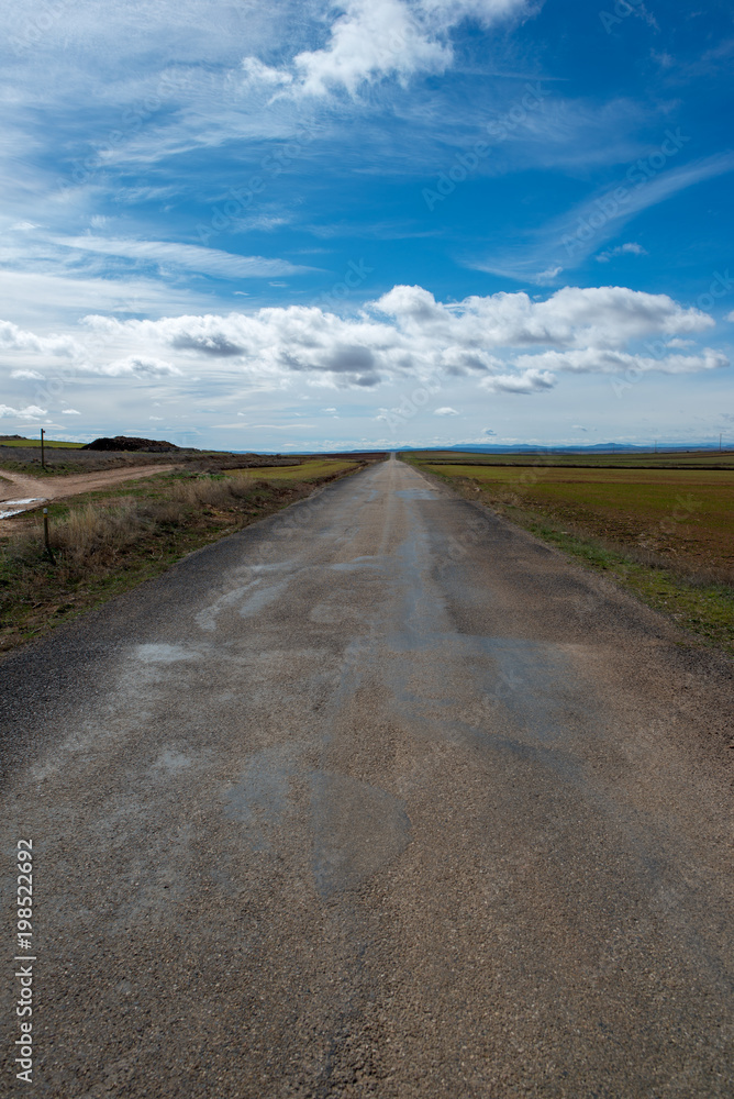 Road through the countryside of the province of Zaragoza.
