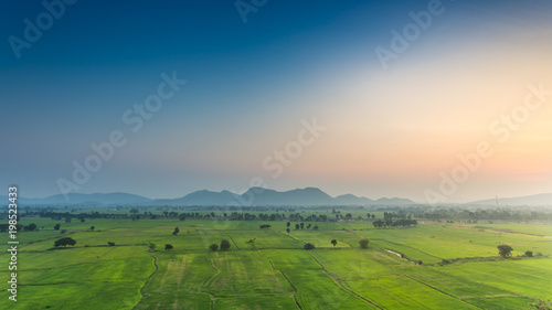 Green rice fild with mountain evening sky