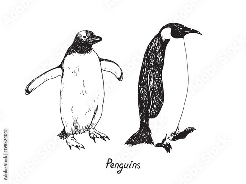 Penguins couple walking in sequence, hand drawn doodle, sketch in pop art style, vector outline illustration with inscription