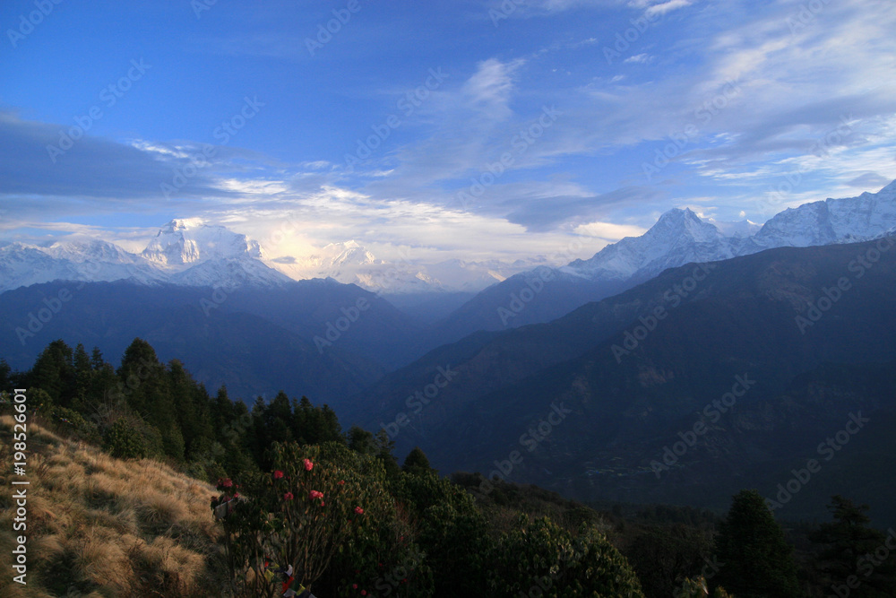 Dhaulagiri massif, view from Poon Hill, Himalayas, Nepal
