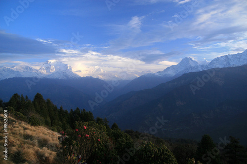 Dhaulagiri massif  view from Poon Hill  Himalayas  Nepal