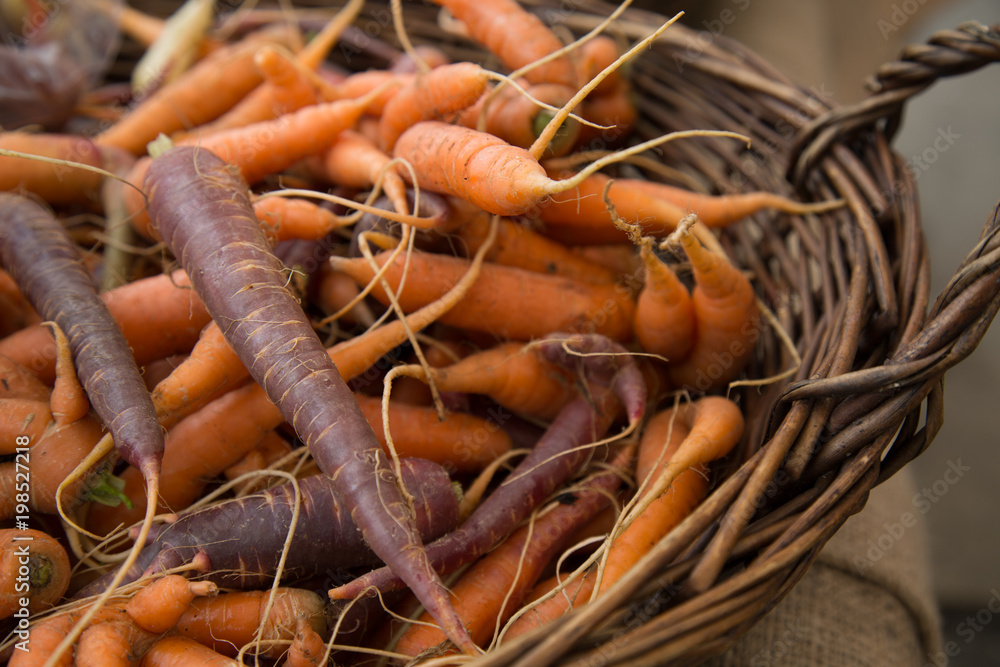 Healthy raw vegeterian food carrot market