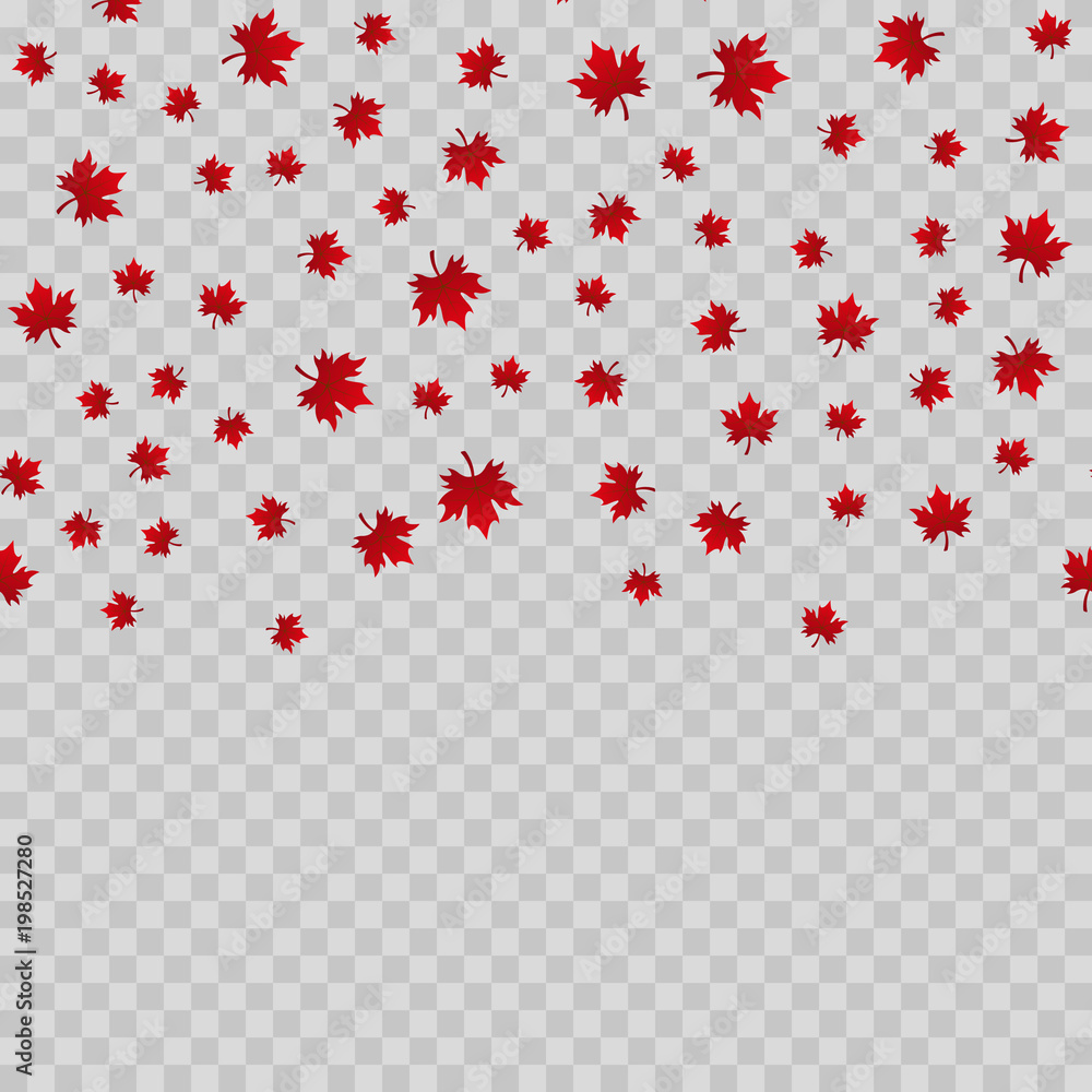 Falling maple leaves on transparent background. Vector. Falling maple leaves on transparent background. Vector.