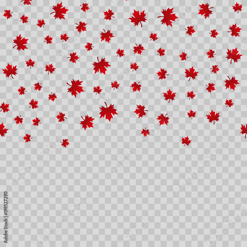 Falling maple leaves on transparent background. Vector.