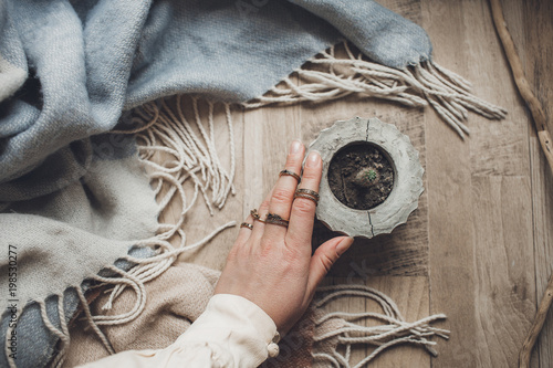 pastel colors female hand in vintage rings near pot with cactus on wool blue scarf which rests on a wooden background