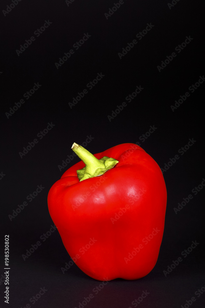 Single red organic pepper isolated on a black background Single red organic pepper isolated on a black background